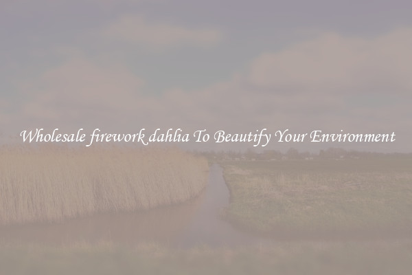 Wholesale firework dahlia To Beautify Your Environment