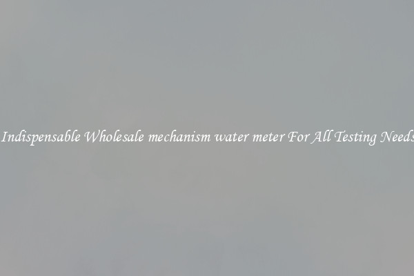 Indispensable Wholesale mechanism water meter For All Testing Needs