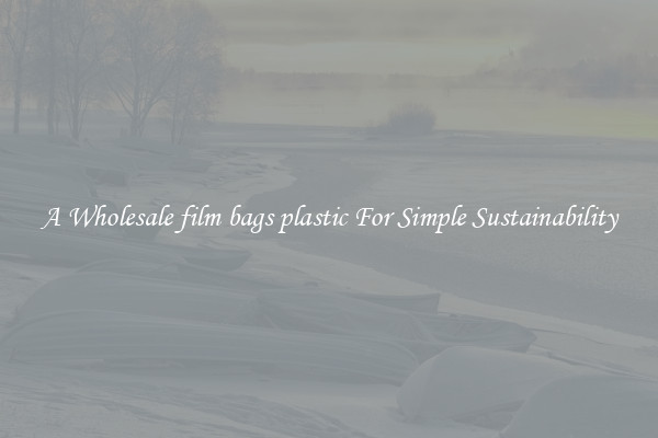  A Wholesale film bags plastic For Simple Sustainability 