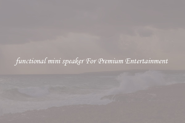 functional mini speaker For Premium Entertainment 