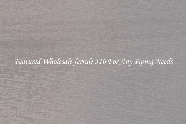 Featured Wholesale ferrule 316 For Any Piping Needs