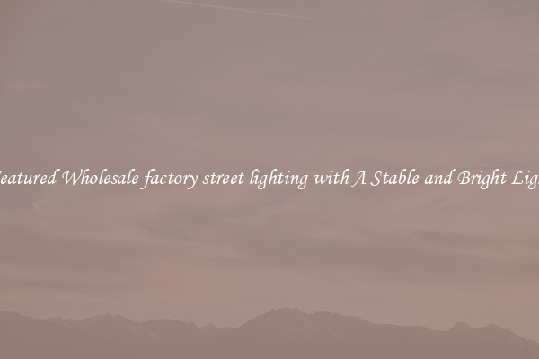 Featured Wholesale factory street lighting with A Stable and Bright Light