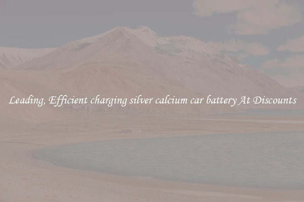 Leading, Efficient charging silver calcium car battery At Discounts
