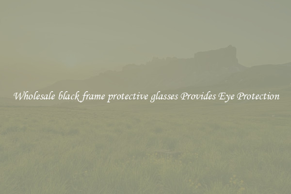 Wholesale black frame protective glasses Provides Eye Protection