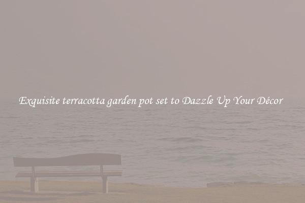 Exquisite terracotta garden pot set to Dazzle Up Your Décor  