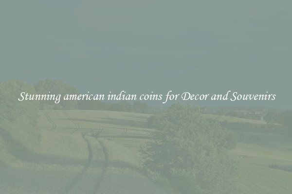 Stunning american indian coins for Decor and Souvenirs