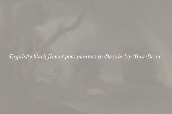 Exquisite black flower pots planters to Dazzle Up Your Décor  