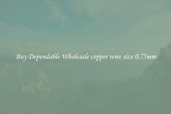 Buy Dependable Wholesale copper wire size 0.75mm