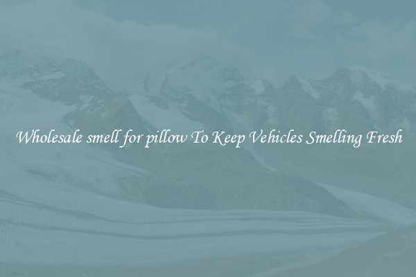 Wholesale smell for pillow To Keep Vehicles Smelling Fresh