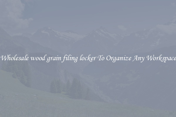 Wholesale wood grain filing locker To Organize Any Workspace