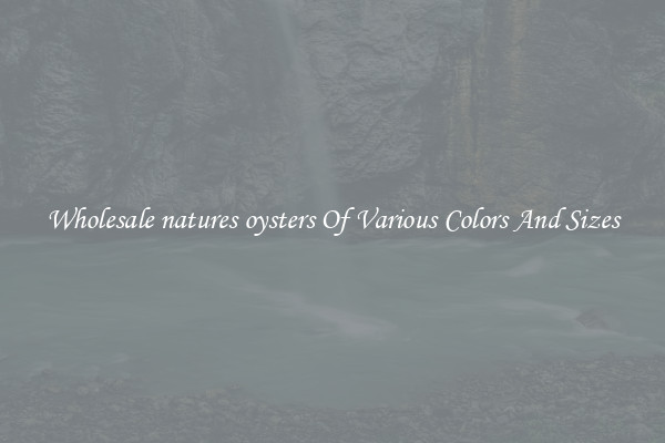 Wholesale natures oysters Of Various Colors And Sizes