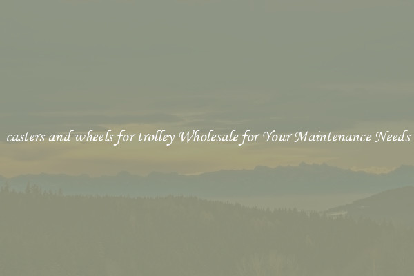 casters and wheels for trolley Wholesale for Your Maintenance Needs
