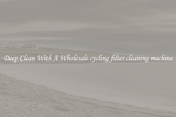 Deep Clean With A Wholesale cycling filter cleaning machine