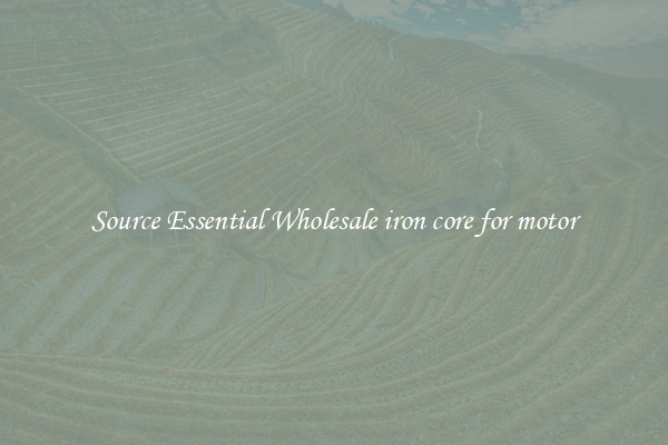 Source Essential Wholesale iron core for motor