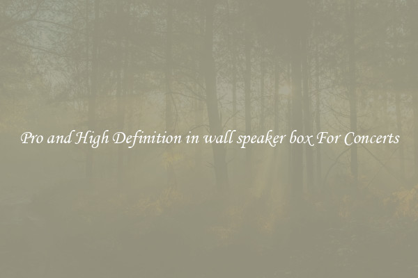 Pro and High Definition in wall speaker box For Concerts
