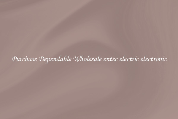 Purchase Dependable Wholesale entec electric electronic