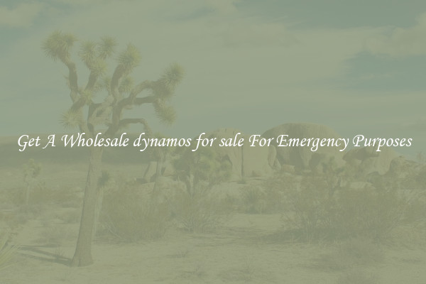 Get A Wholesale dynamos for sale For Emergency Purposes