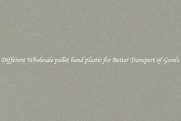 Different Wholesale pallet band plastic for Better Transport of Goods 