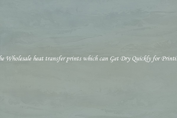 The Wholesale heat transfer prints which can Get Dry Quickly for Printing