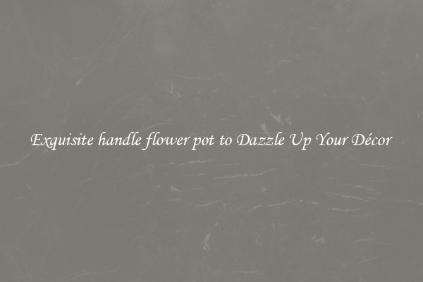 Exquisite handle flower pot to Dazzle Up Your Décor 