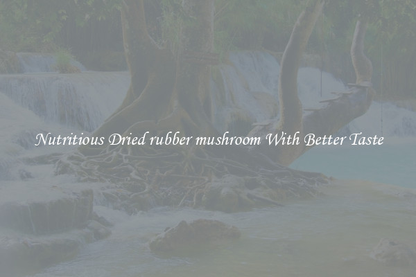 Nutritious Dried rubber mushroom With Better Taste