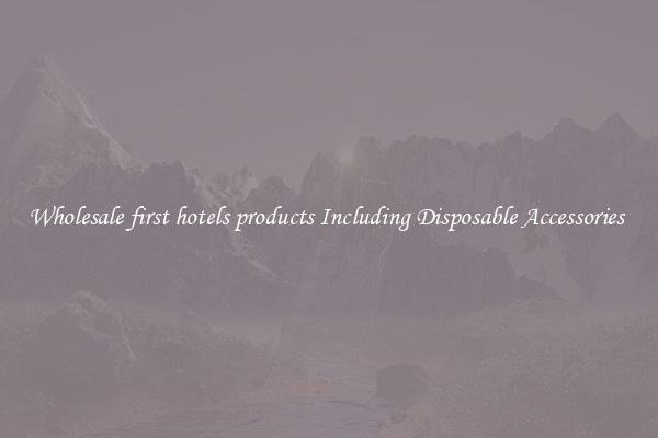 Wholesale first hotels products Including Disposable Accessories 