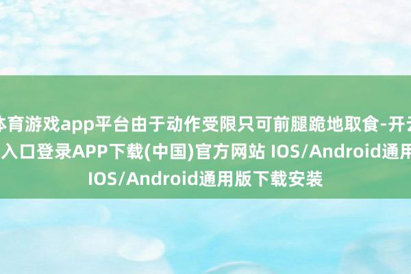 体育游戏app平台由于动作受限只可前腿跪地取食-开云kaiyun登录入口登录APP下载(中国)官方网站 IOS/Android通用版下载安装