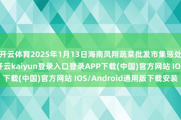 开云体育2025年1月13日海南凤翔蔬菜批发市集惩处有限公司价钱行情-开云kaiyun登录入口登录APP下载(中国)官方网站 IOS/Android通用版下载安装