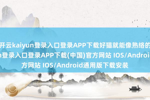 开云kaiyun登录入口登录APP下载好猫就能像熟络的诤友-开云kaiyun登录入口登录APP下载(中国)官方网站 IOS/Android通用版下载安装
