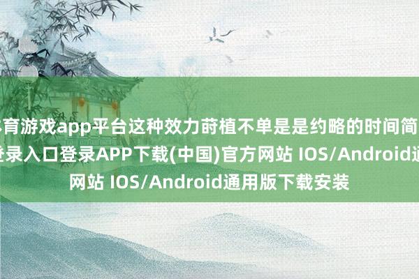 体育游戏app平台这种效力莳植不单是是约略的时间简陋-开云kaiyun登录入口登录APP下载(中国)官方网站 IOS/Android通用版下载安装