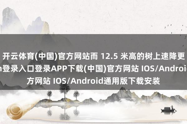 开云体育(中国)官方网站而 12.5 米高的树上速降更刺激-开云kaiyun登录入口登录APP下载(中国)官方网站 IOS/Android通用版下载安装