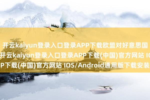开云kaiyun登录入口登录APP下载欧盟对好意思国的AI企业愈加警惕-开云kaiyun登录入口登录APP下载(中国)官方网站 IOS/Android通用版下载安装
