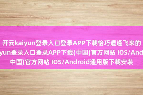 开云kaiyun登录入口登录APP下载恰巧遭逢飞来的一小粒石子-开云kaiyun登录入口登录APP下载(中国)官方网站 IOS/Android通用版下载安装