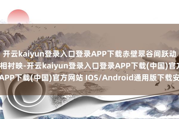 开云kaiyun登录入口登录APP下载赤壁翠谷间跃动的身影与陡立地貌交相衬映-开云kaiyun登录入口登录APP下载(中国)官方网站 IOS/Android通用版下载安装