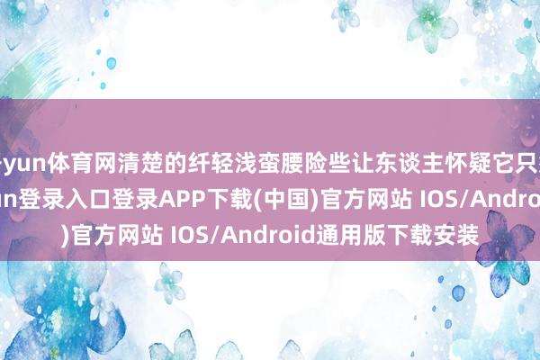 开yun体育网清楚的纤轻浅蛮腰险些让东谈主怀疑它只须一尺八-开云kaiyun登录入口登录APP下载(中国)官方网站 IOS/Android通用版下载安装