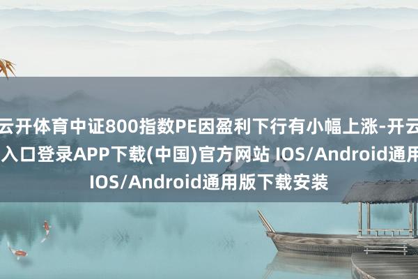 云开体育中证800指数PE因盈利下行有小幅上涨-开云kaiyun登录入口登录APP下载(中国)官方网站 IOS/Android通用版下载安装
