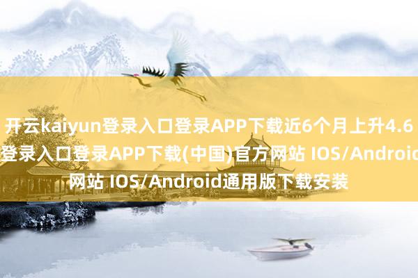 开云kaiyun登录入口登录APP下载近6个月上升4.63%-开云kaiyun登录入口登录APP下载(中国)官方网站 IOS/Android通用版下载安装
