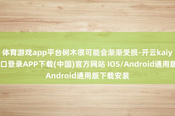 体育游戏app平台树木很可能会渐渐受损-开云kaiyun登录入口登录APP下载(中国)官方网站 IOS/Android通用版下载安装