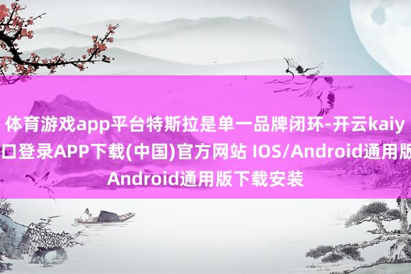 体育游戏app平台特斯拉是单一品牌闭环-开云kaiyun登录入口登录APP下载(中国)官方网站 IOS/Android通用版下载安装